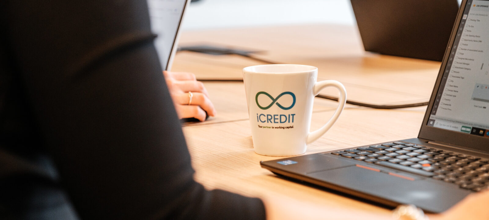 credit risk analist